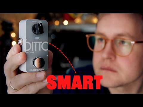 Видео: Лупер Ditto стал еще лучше