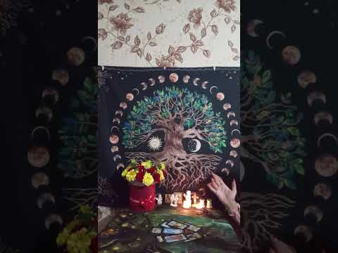 Видео: 🧚‍♂️ТАРО ДЛЯ МУЖЧИН. С кем в сентябре сведет вас судьба#мысличувствадействия #мыслимужчинытаро 🧚‍♂️