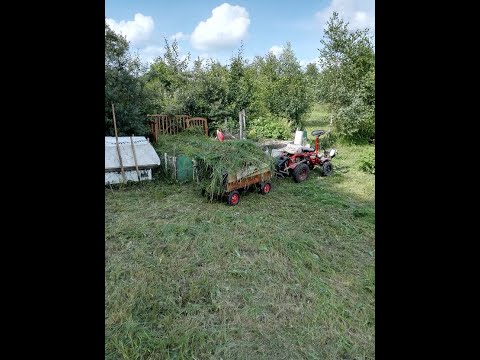 Видео: Получение компоста из травы