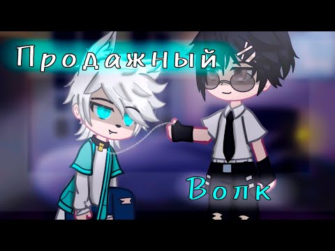 Видео: 💎ОЗВУЧКА 💙ЯОЙ💙 мини фильм💸ПРОДАЖНЫЙ ВОЛК🐺1 СЕРИЯ [gacha life/гача лайф]