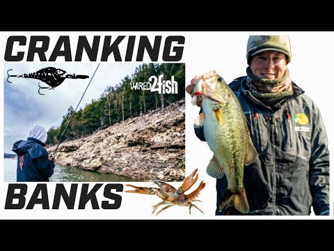 Видео: Советы по ловле окуня зимой на каменистые берега с помощью крэнкбейта