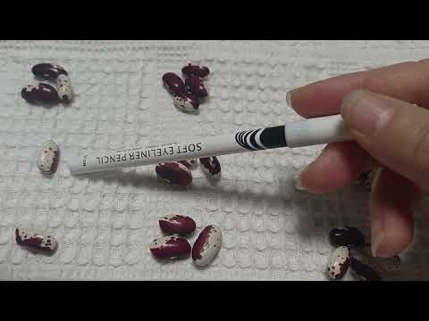 Видео: Телец Гадание на декабрь 2025.