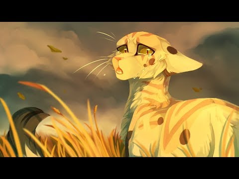 Видео: Коты Воители - Мелом или Фиолетовая пудра - Клип.