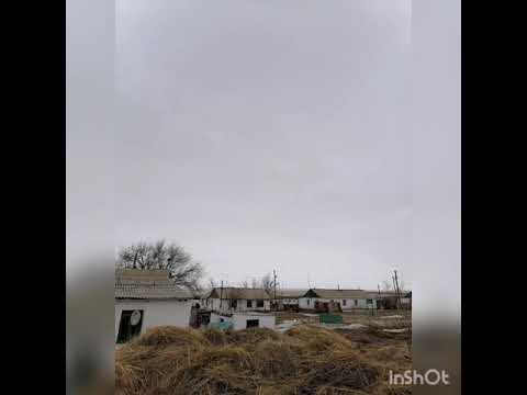 Видео: Шилі ауылы , 10.04.21.