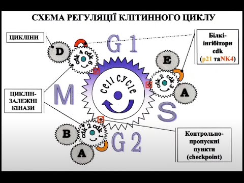 Видео: Пухлина як типовий патологічний процес, загальні механізми канцерогенезу