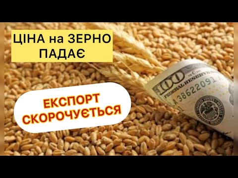 Видео: ЦІНИ на ЗЕРНО-ПАДАЮТЬ, ДЕШЕВШЕ ніж в ЖНИВА🔥Ячмінь, Пшениця-Овес🔥