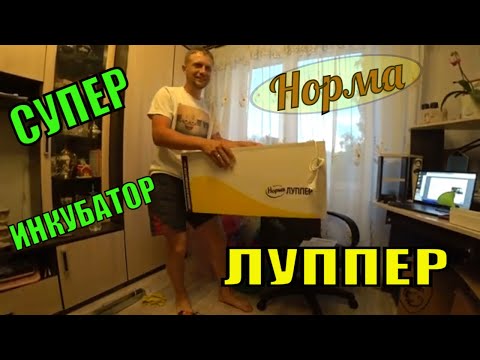 Видео: Супер инкубатор НОРМА ЛУППЕР!!! Купили еще один.Отзыв после трех лет использования.