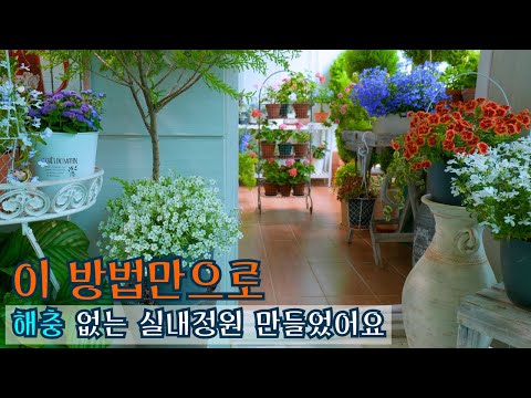 Видео: [4K] 3 экологически чистых метода профилактики и борьбы с вредителями