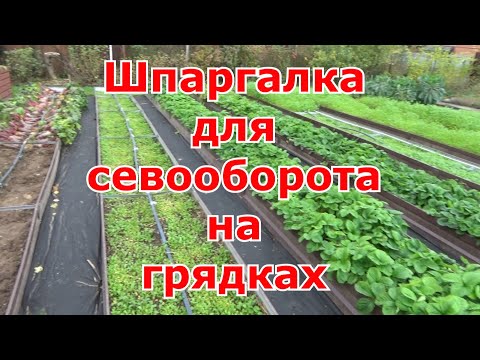 Видео: Севооборот на моих грядках. Шпаргалка и таблица для чередования посадки растений в огороде.