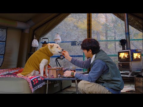 Видео: Холодный осенний лесной кемпинг — потрескивающий костер, тёплая палатка с моей собакой 🔥🐶🍁