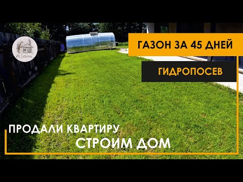 Видео: Рост газона после гидропосева. Вырос за 45 дней.