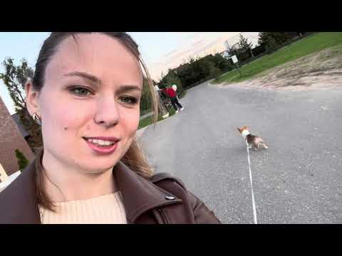 Видео: Купила собаку? | Майские в Horseka | Конкурная тренировка