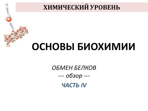 Видео: ОБМЕН БЕЛКОВ - часть 4 - Просто о сложном - Химия