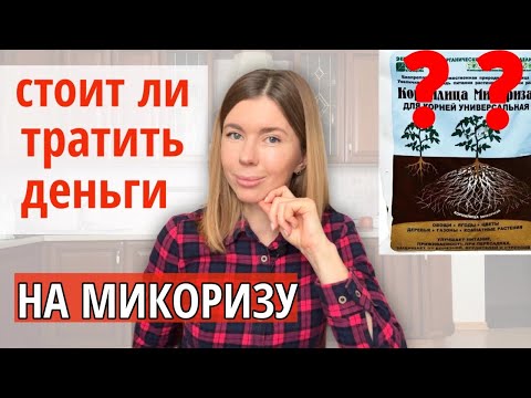 Видео: НЕ ПОКУПАЙТЕ МИКОРИЗУ, ПОКА НЕ ПОСМОТРИТЕ ЭТО ВИДЕО. Что такое микориза и как она работает в почве