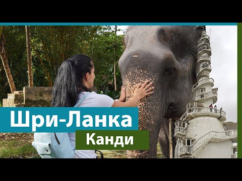 Видео: Шри-Ланка/ Канди/ Что посмотреть?