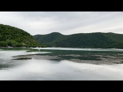 Видео: Абрау-Дюрсо. В горном лесу [4K HDR]