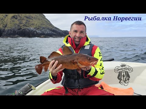 Видео: Рыбалка в Норвегии. #норвегия #рыбалка #рыбалкавнорвегии 