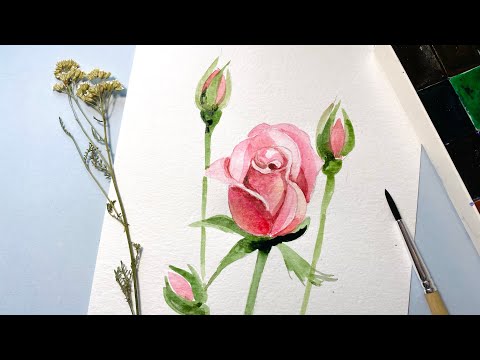 Видео: Как нарисовать розовую Розу. Акварель для начинающих. How to draw a rose