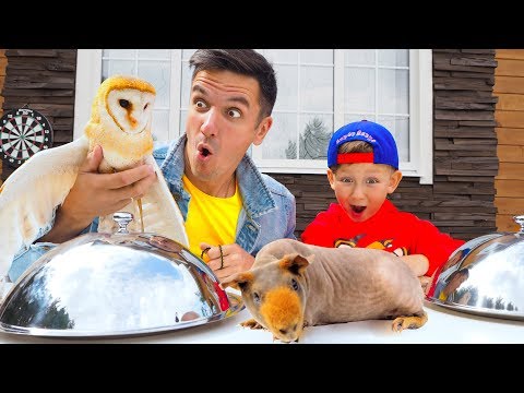 Видео: ЧЕЛЛЕНДЖ Отгадай Животное по Еде! Обычная ЕДА против НАСТОЯЩИХ Животных Challenge for kids