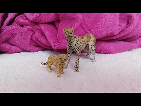 Видео: Моя посылка