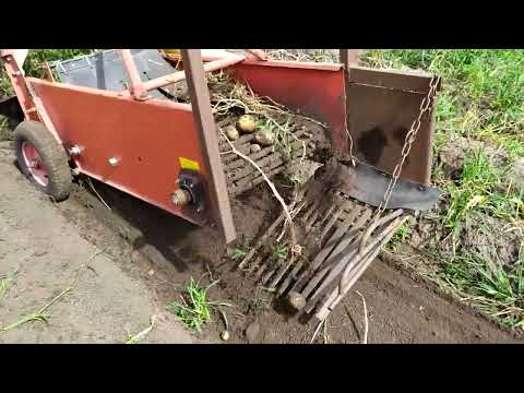 Видео: Однорядна картоплекопалка, робота на забурянененому полі, грунт пісок, за два дні до зйомки йшов дощ