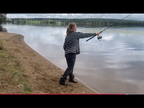 Видео: Жизнь в Швеции. На даче в Швеции. Часть вторая.