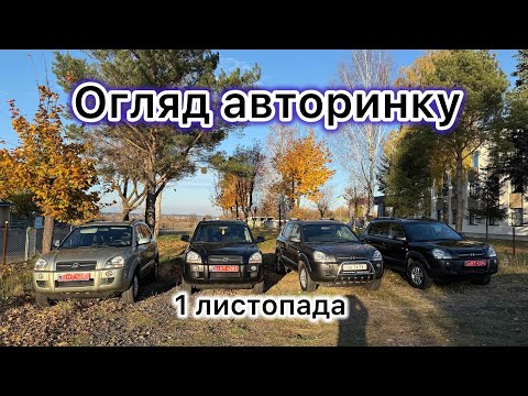 Видео: Огляд авто, що пропонує авторинок ! @Avtostvol 