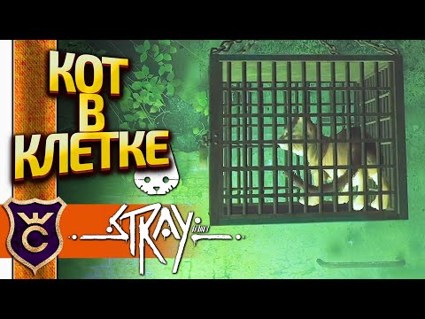 Видео: КОТА ПОСАДИЛИ В ТЮРЬМУ! Stray #13