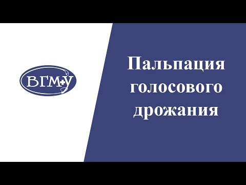 Видео: Пальпация голосового дрожания