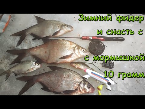 Видео: Волга, Конаково, первый опыт. Снасти для течения. Зимний фидер и снасть с мормышкой 10 грамм.