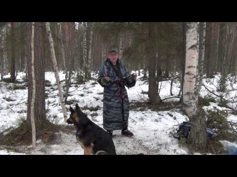 Видео: КОМПЛЕКТ-ТРАНСФОРМЕР "ЛЕСНИК-2".  Часть 1