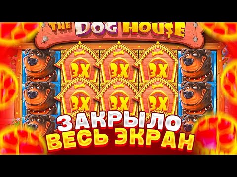 Видео: ПЕРВАЯ БОНУСКУ, СРАЗУ НА 4 ЛАПЫ И ЗАНОС НА ЛЯМ !! ЛУДКА В THE DOG HOUSE MEGAWAYS ! ( ЗАНОСЫ НЕДЕЛИ )