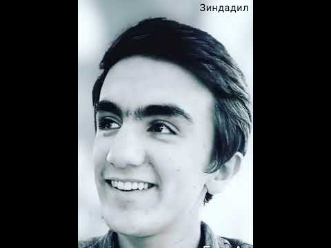 Видео: Абӯбакр Зӯбайдӣ
