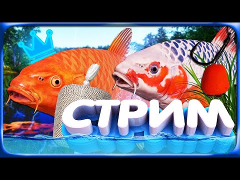Видео: РР4 СТРИМ • НОВЫЙ ФАРМ на МЕДНОМ ОЗЕРЕ с ЛУЧШИХ ТОЧЕК и ПОИСК КЛЕВА на НОРВЕЖСКОМ МОРЕ!