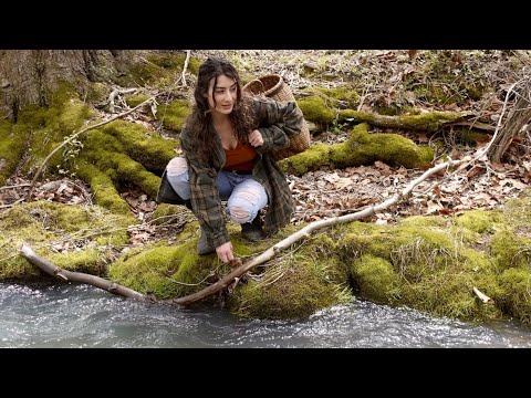 Видео: Пойдем со мной на «Дикую природу» | Сбор лекарственных трав |