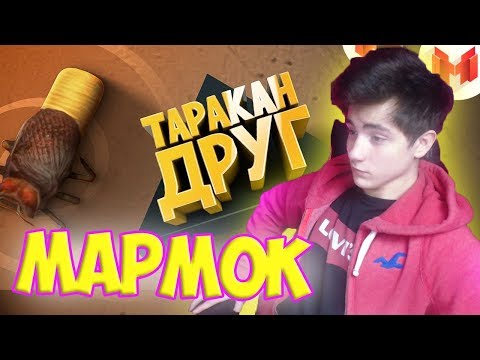 Видео: Mr. Marmok Игродно Друг таракан Реакция | Мармок | Реакция на Игродно Друг таракан | Мармок Реакция