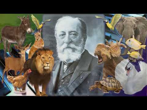 Видео: 1класс 2021г  музыка 12 урок Регистр в музыке