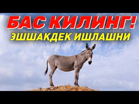 Видео: Эшшакдек ишлашни бас кил, 100% фойдали! ~Абдуллох Домла ~Abdulloh Domla 2025 #ilmnuri #namoz #zikr