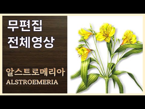 Видео: [Полное видео] Руководство по использованию мёда для привлечения пчёл | Рисование альстромерии