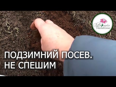 Видео: ПОДЗИМНИЙ ПОСЕВ