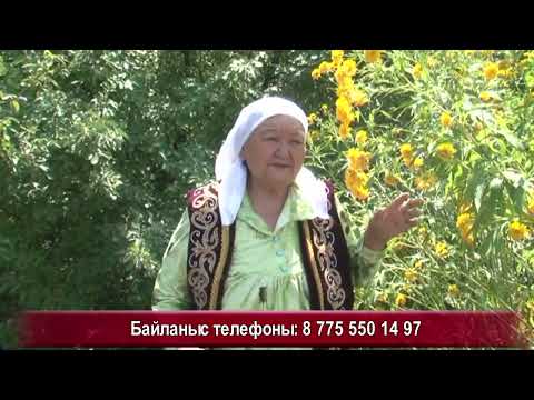 Видео: Ит,мысық,жылан,құстардың тілін білетін сезімтал Жамила апа Т:87755501497