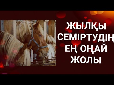 Видео: Жылқыны қалай семіртеді жылқыны семірту жылқыны тез семірту жылқыны бордақылау жылқыны баптау