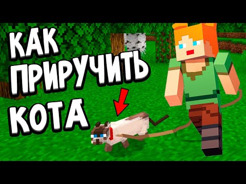 Видео: Как приручить кота ?🐈  ПАУК СЪЕЛ МОЕГО ВОЛКА 😭 майнкрафт выживание / Бабушка Шошо minecraft