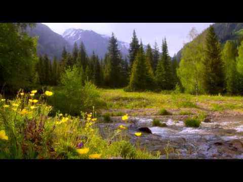 Видео: Роза Әлқожа & Әбдіжаппар Мәлік - Алатау Алтай Атырау
