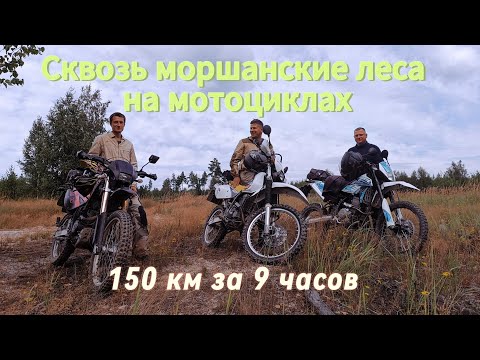 Видео: Мотоэкспедиция втроём. Исследуем новые неизведанные места тамбовских лесов