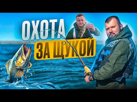 Видео: Охота за ЩУКОЙ