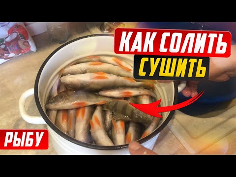 Видео: Мокрый посол и вяление рыбы. Как правильно солить, вымачивать, сушить рыбу.