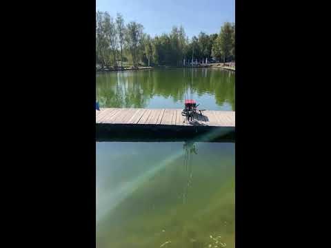 Видео: Alkam Fishing в прямом эфире!