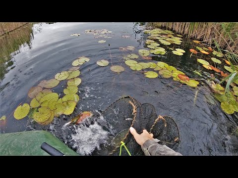 Видео: ВОТ ЭТО РАЗМЕР! В ЭТОЙ ЯМЕ ЗДОРОВЕННЫЕ ЛИНИ! Рыбалка с ночевкой!