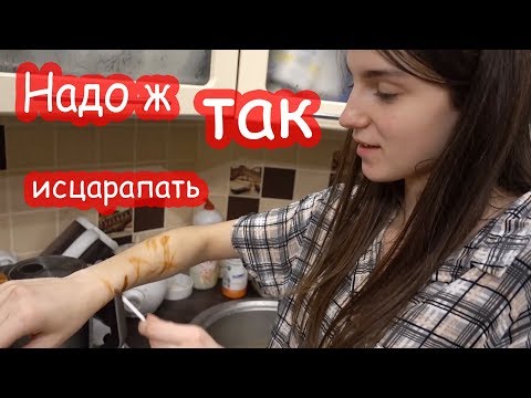Видео: VLOG Катю исцарапал Батон. У нас гости. Классный прожектор